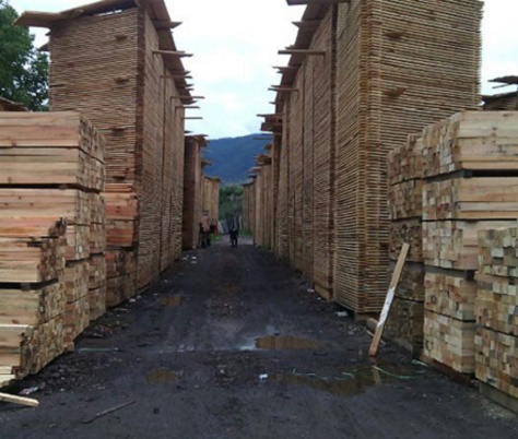 aseguramiento madera profepa2