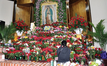 altar flores