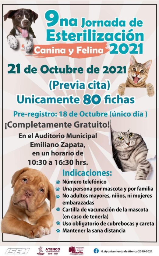 Anuncian La 9a Jornada De Esterilización Canina Y Felina Gratuita En